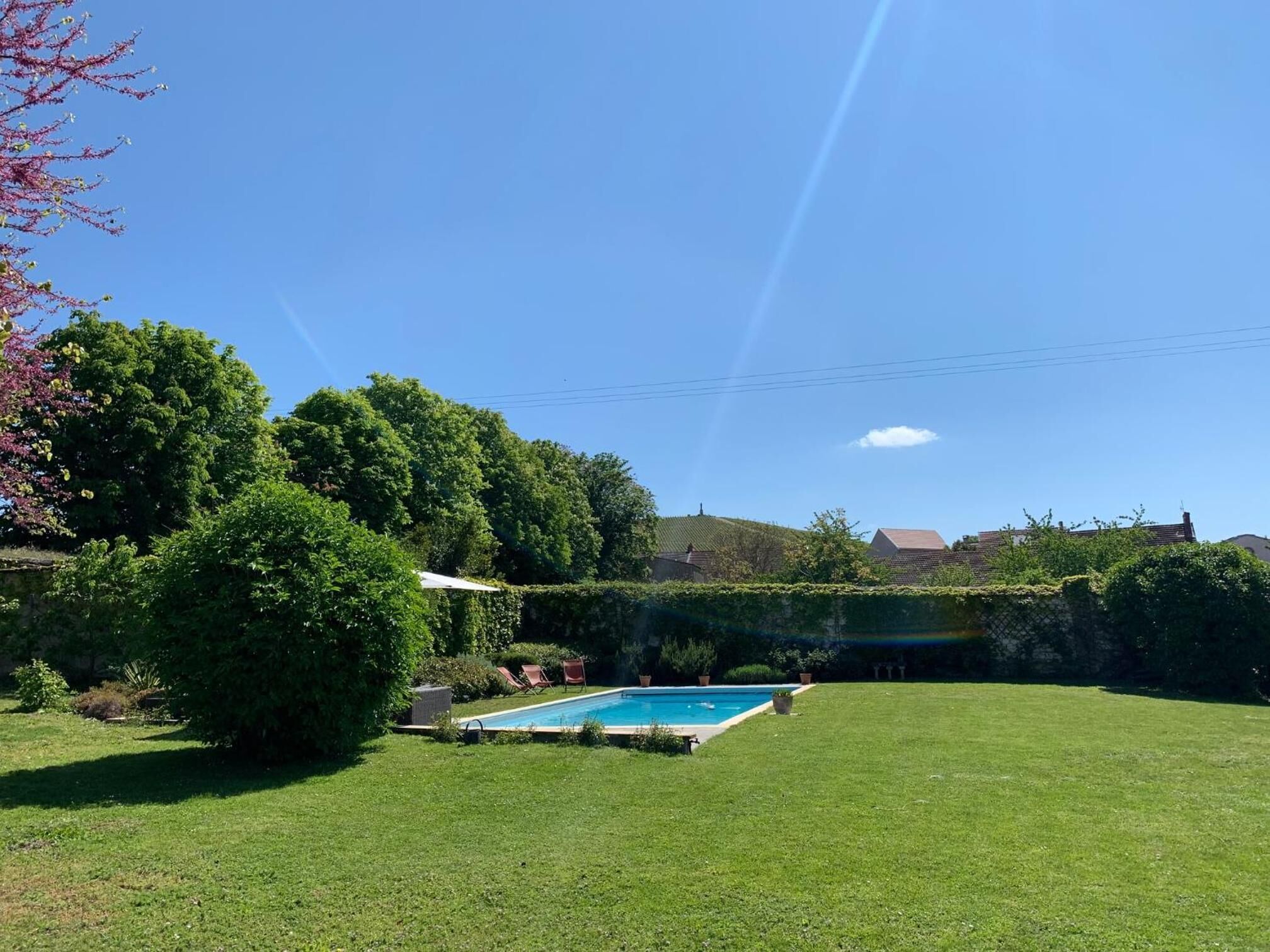 Ein Garten mit Schwimmbecken, umgeben von üppigem Grün und blauem Himmel.