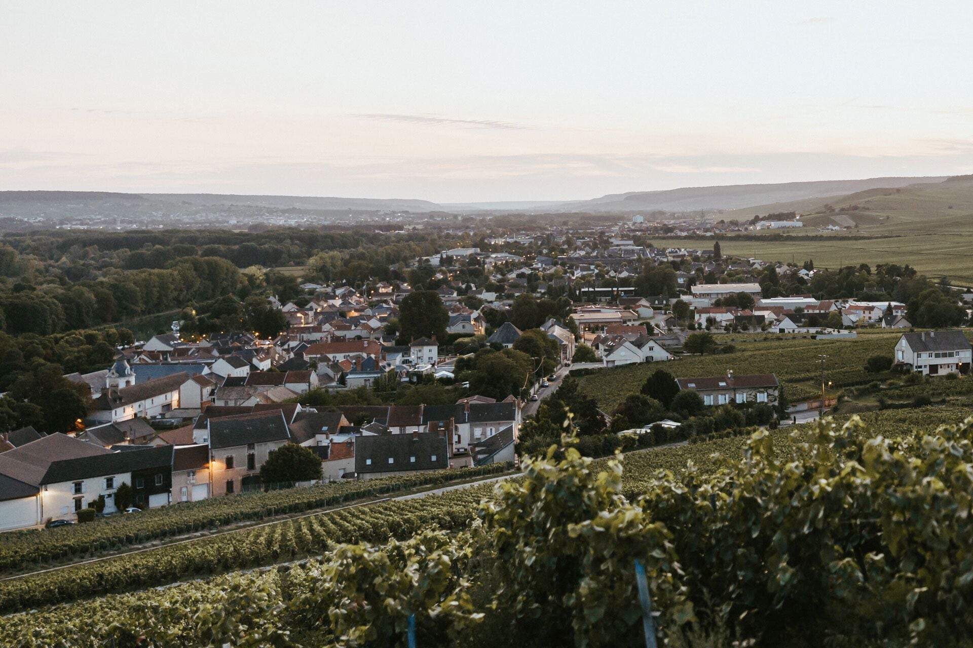 A town with residential buildings, vineyards, and a distant view of a larger city.