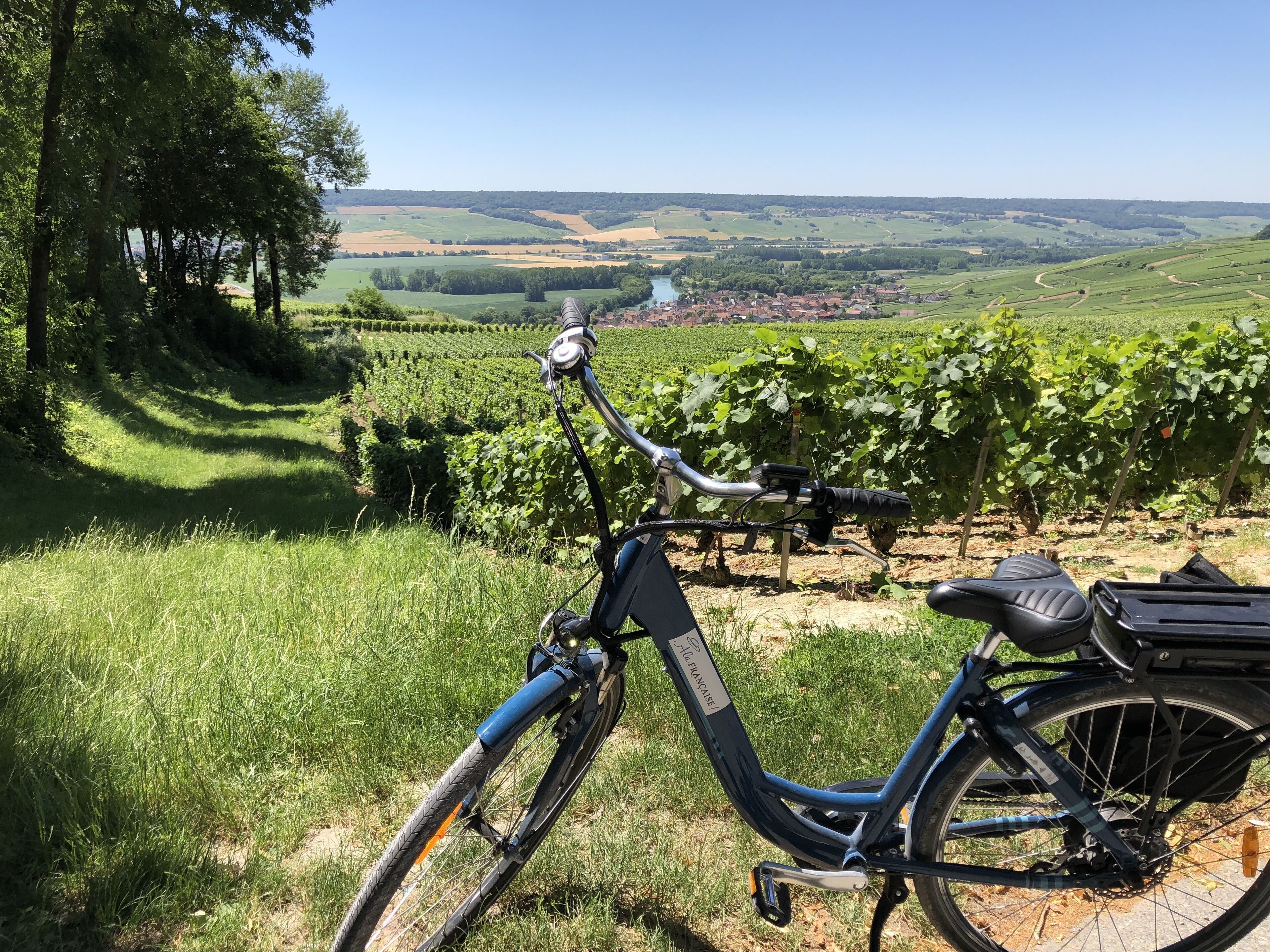 A bicycle parked on a grassy hill overlooking a vineyard and a valley.
