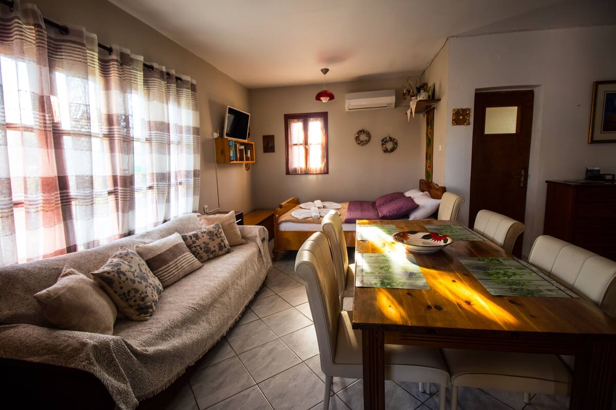 A cozy living room with a sofa, a dining table with chairs, a TV on a shelf, and a window with curtains.