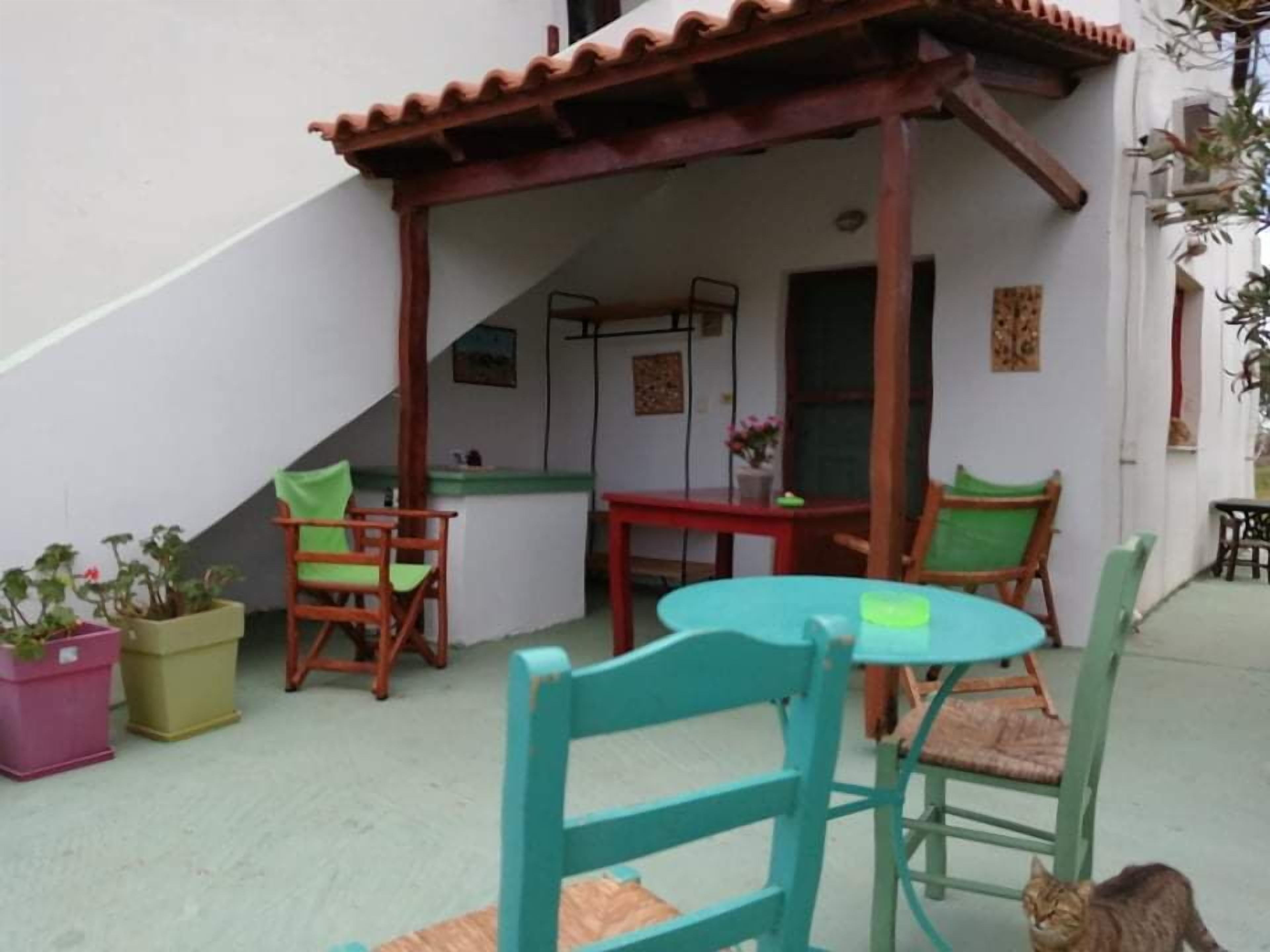 Un patio con una pérgola de madera, una mesa redonda y varias sillas. Hay plantas en macetas y un gato en el patio.