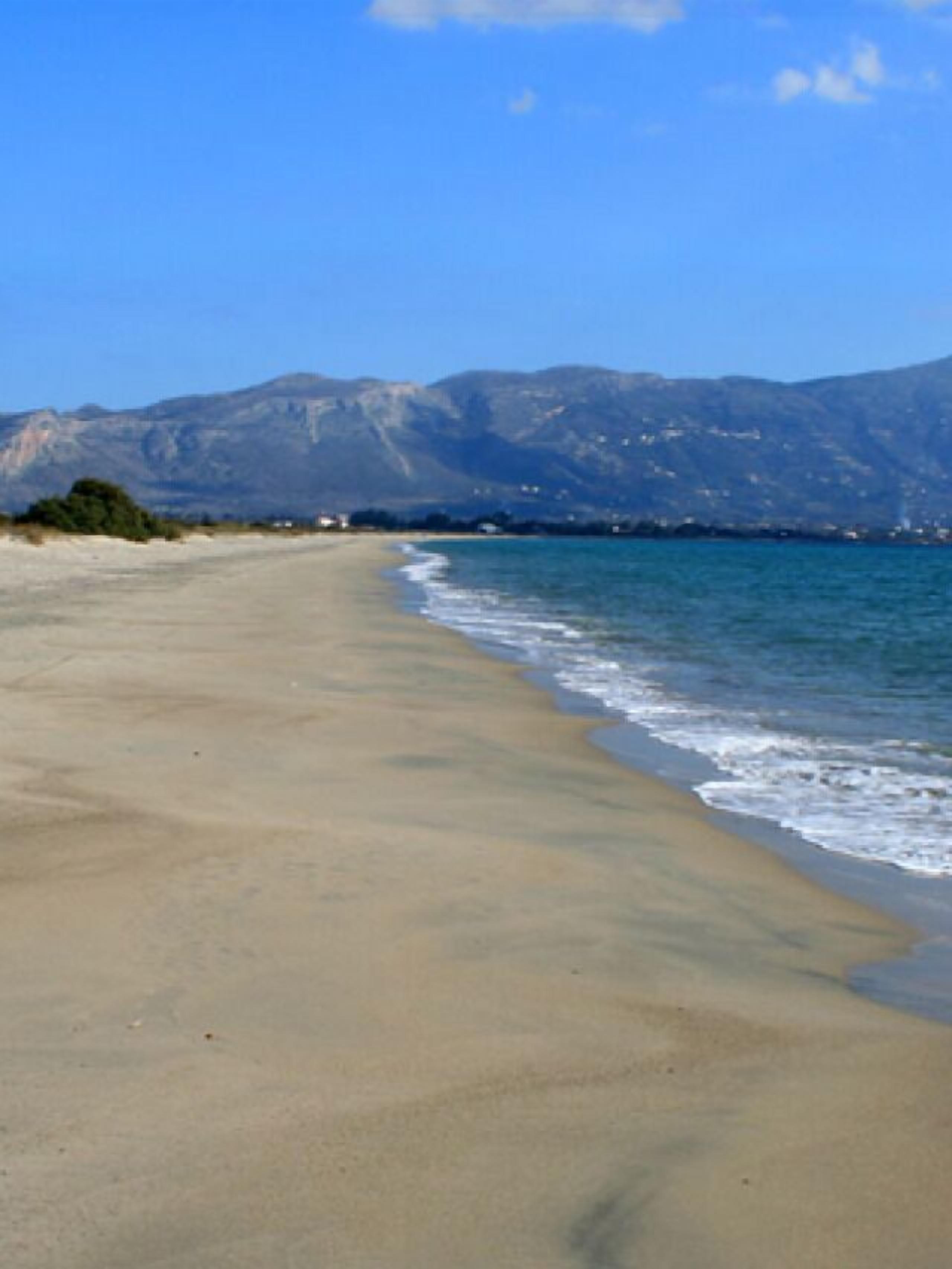 Perto da praia, espreguiçadeiras, guarda-sóis, prática de windsurfe 
