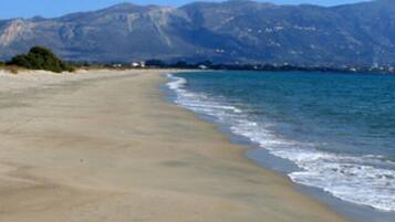 Beach nearby, sun-loungers, beach umbrellas, windsurfing