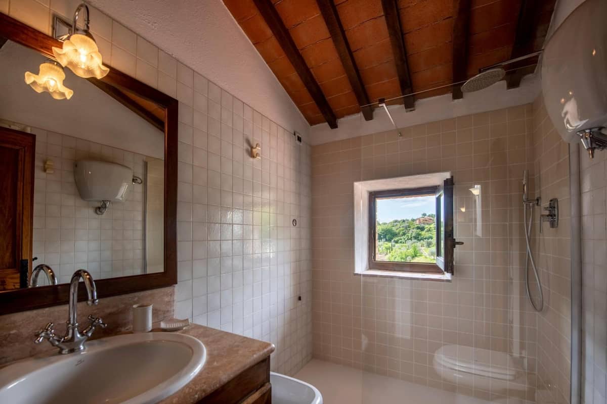 shower, free toiletries, hair dryer, bidet