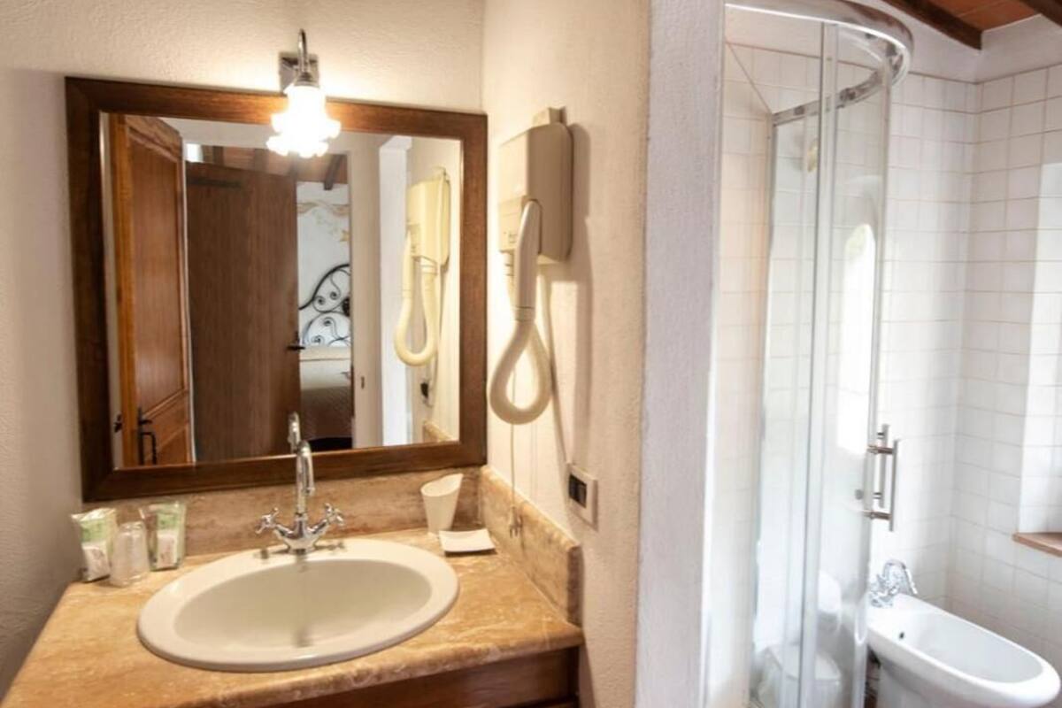 shower, free toiletries, hair dryer, bidet