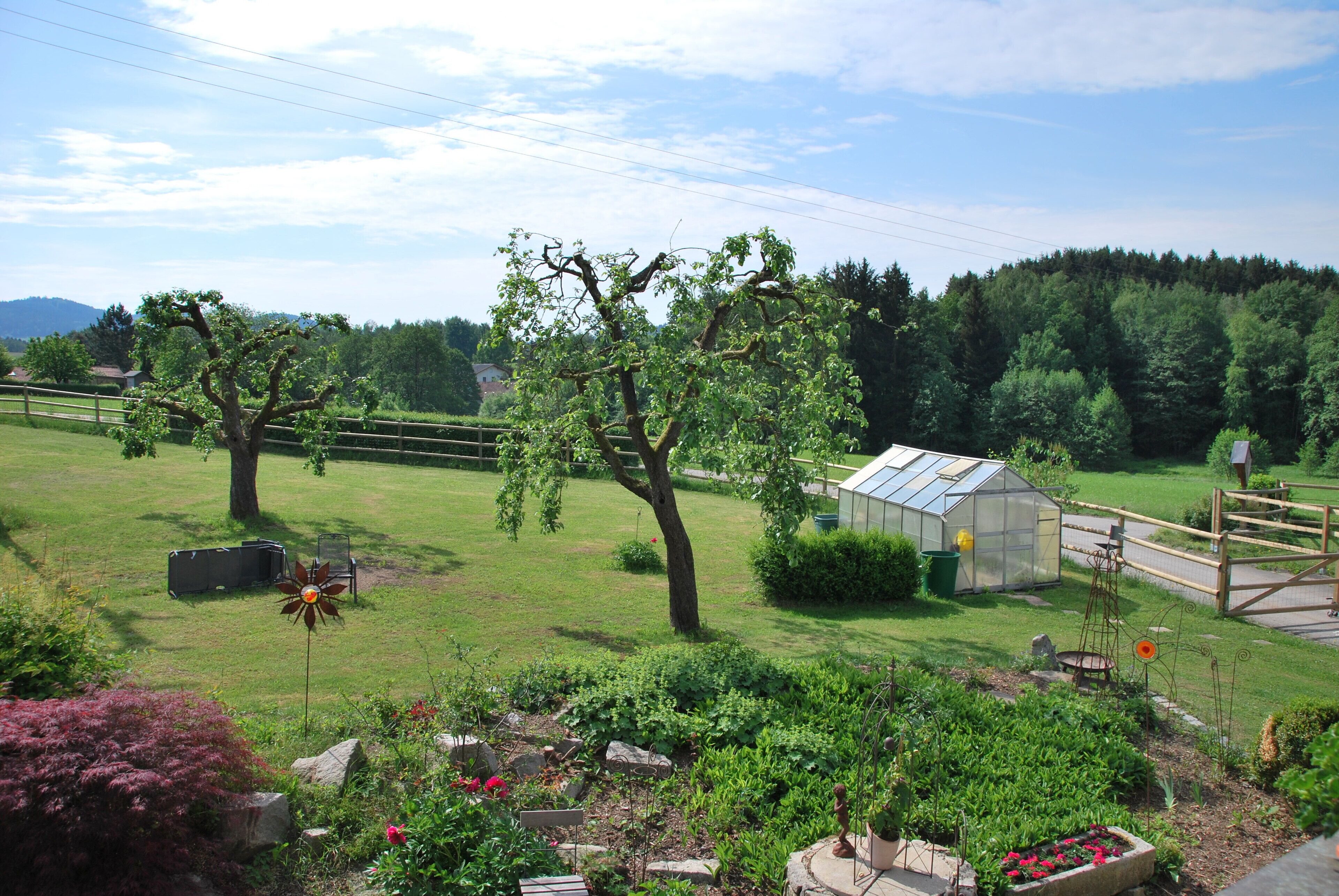 A garden with a greenhouse, trees, and a fence.