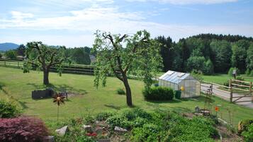 A garden with a greenhouse, trees, and a fence.