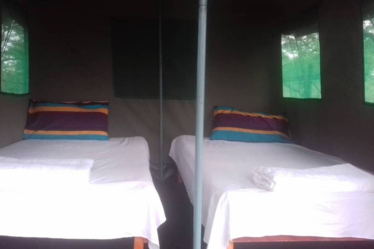 Two twin beds with white linens and colorful pillows, a central pole, and green curtains on the windows.
