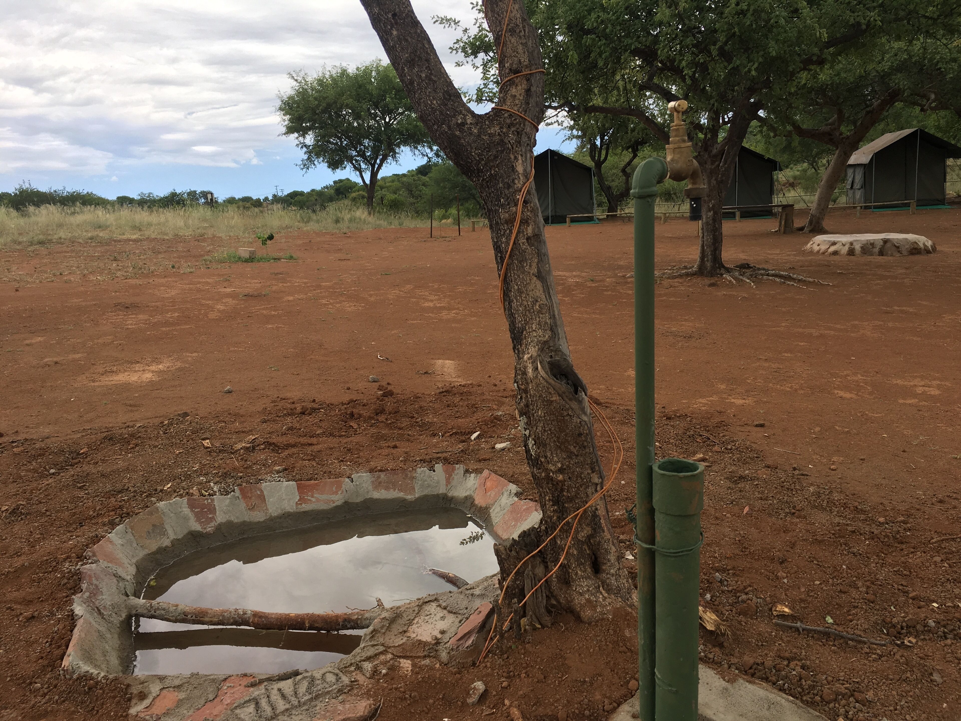 Un entorno rústico al aire libre con un pozo de hormigón, un árbol y una tubería verde.