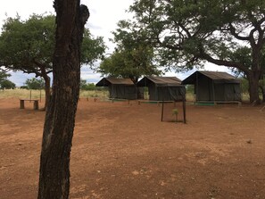 Exterior - Paje River Camp (Paje)