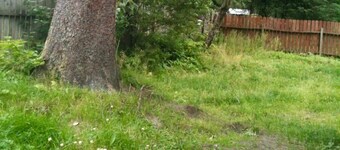 High Grade - Affordable, Near Mendenhall Glacier, Trails, and Conveniences -DISCOUNT ON TOURS!