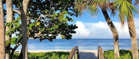 Sun-loungers, beach towels