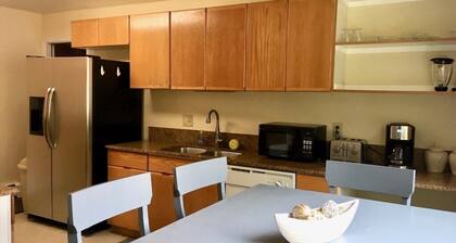 Tilava paikka lentokentän ja Mendenhallin jäätikön välissä, lähellä polkuja.