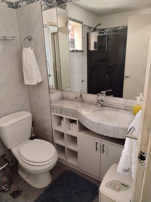 Shower, hair dryer, bidet, towels