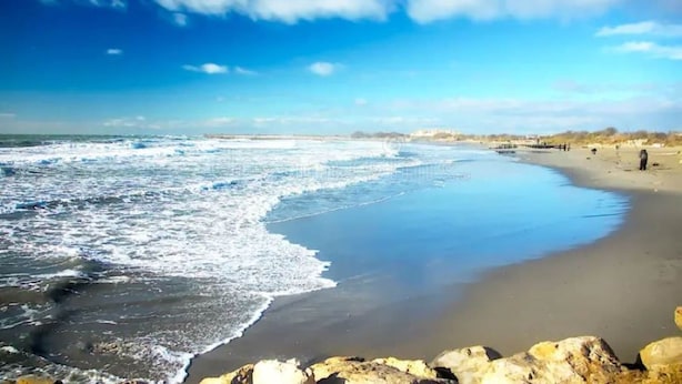 Ein Strand mit Wellen, blauem Himmel und Bäumen in der Ferne.