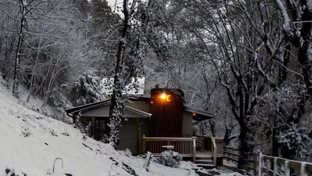 Une cabane dotée d’une terrasse en bois et d’une enseigne illuminée, entourée d’arbres couverts de neige.