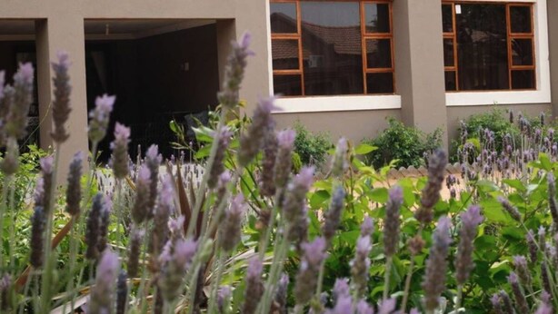 Un edificio con fachada color beige, dos ventanas con marcos de madera y un jardín con flores moradas al frente.