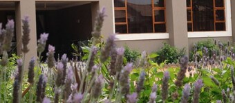 Ein Gedi Premier Lodge
