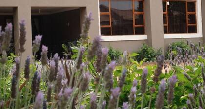Ein Gedi Premier Lodge