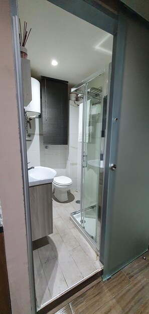 Shower, hair dryer, bidet, towels
