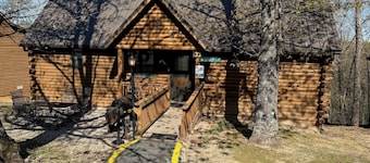 2 bed Log Cabin, w/2 Jacuzzi, 1 mi to SDC, pool, nature trails, private lake