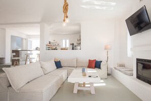 TV, fireplace