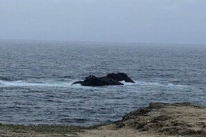 Beach nearby - Beautiful little Belliloise house (Belle-île-en-Mer)