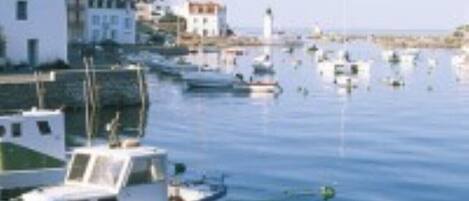 مارينا