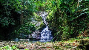 A waterfall in a forested area with rocks and greenery around. - Tranquil and Peaceful Parlatuvier 2 (Parlatuvier)