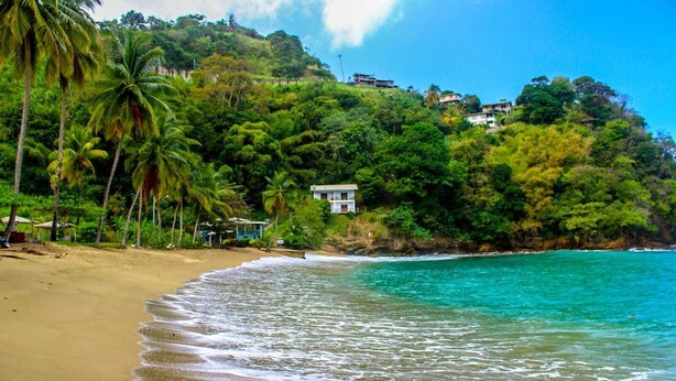 A beach with clear turquoise waters, palm trees, and a house on a hillside. - Tranquil and Peaceful Parlatuvier 2 (Parlatuvier)