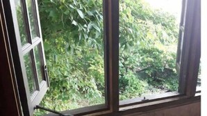 A kitchen with two stainless steel sinks and a window overlooking greenery. - Tranquil and Peaceful Parlatuvier (Parlatuvier)