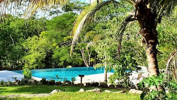 Outdoor pool, pool umbrellas, sun loungers