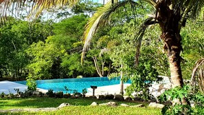 Outdoor pool, pool umbrellas, pool loungers - Vanilla Hills Resort (San Ignacio)