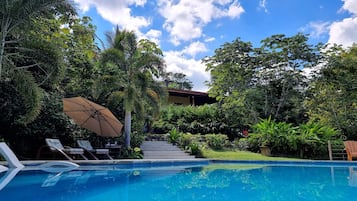 Una piscina al aire libre, sombrillas, sillones reclinables de piscina