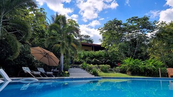 Una piscina al aire libre, sombrillas, sillones reclinables de piscina