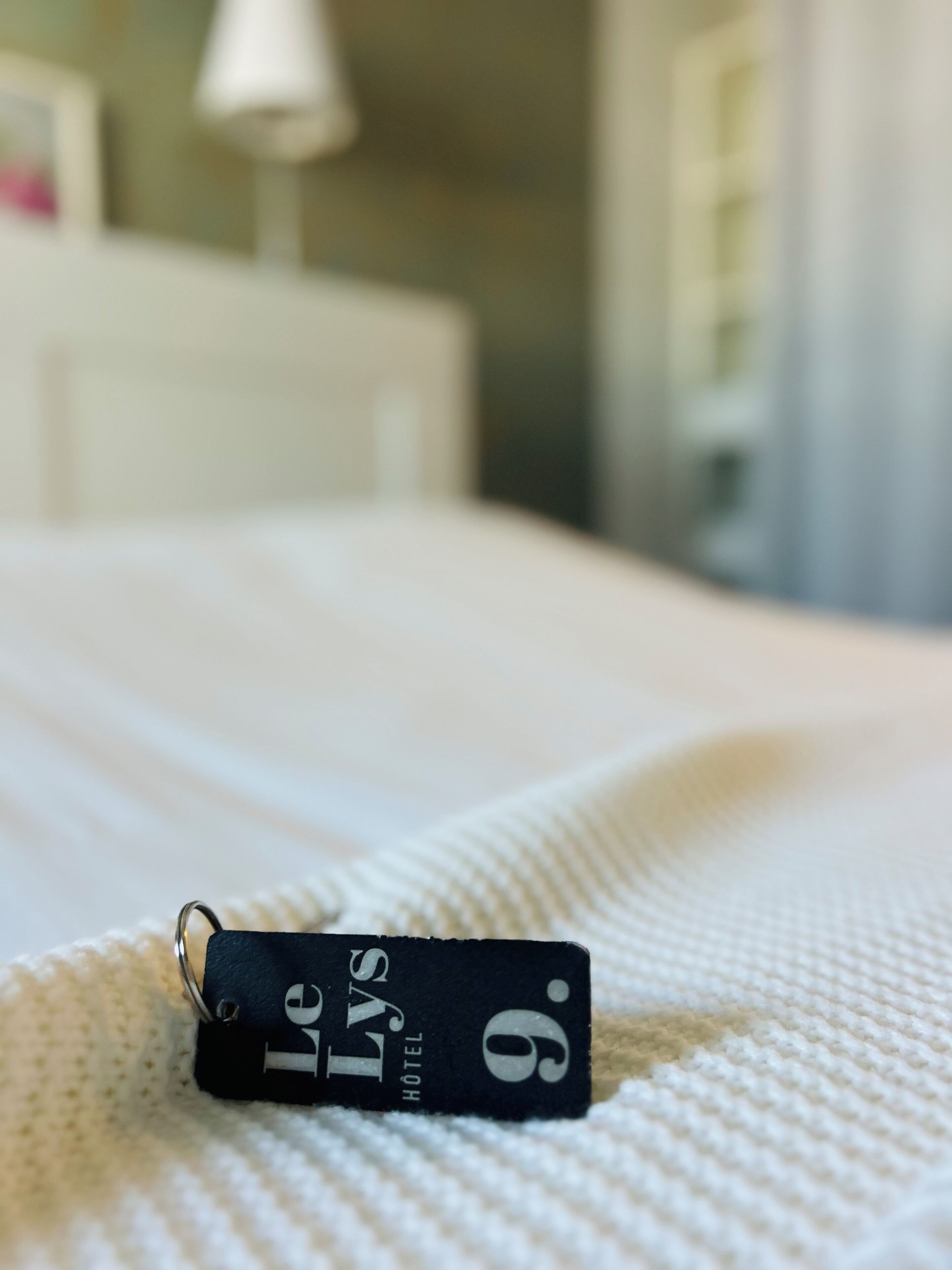 A tag with the text "Le Lys Hotel" on a white textured surface.