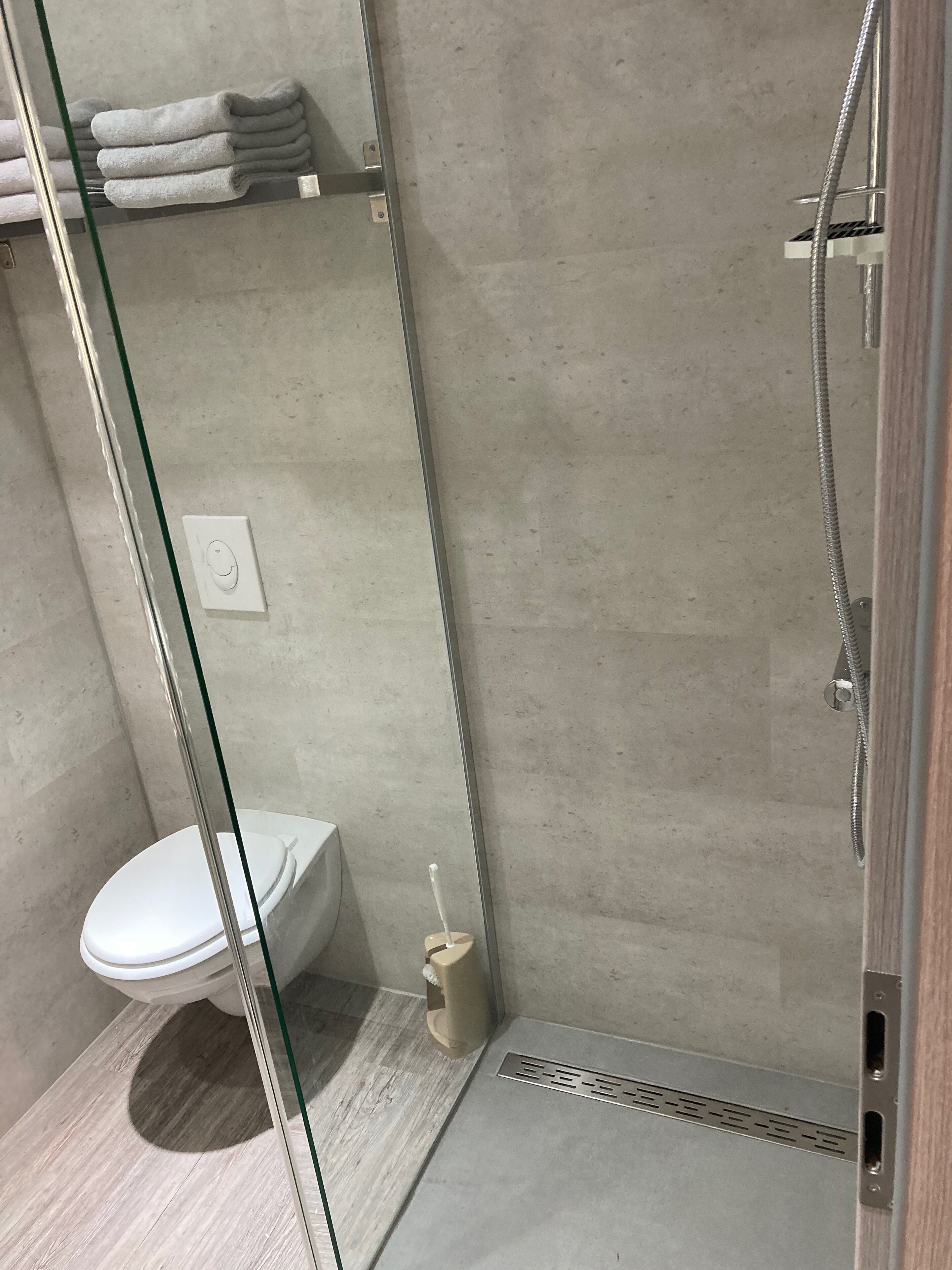 A modern bathroom with a glass shower enclosure, a toilet, and a towel rack.