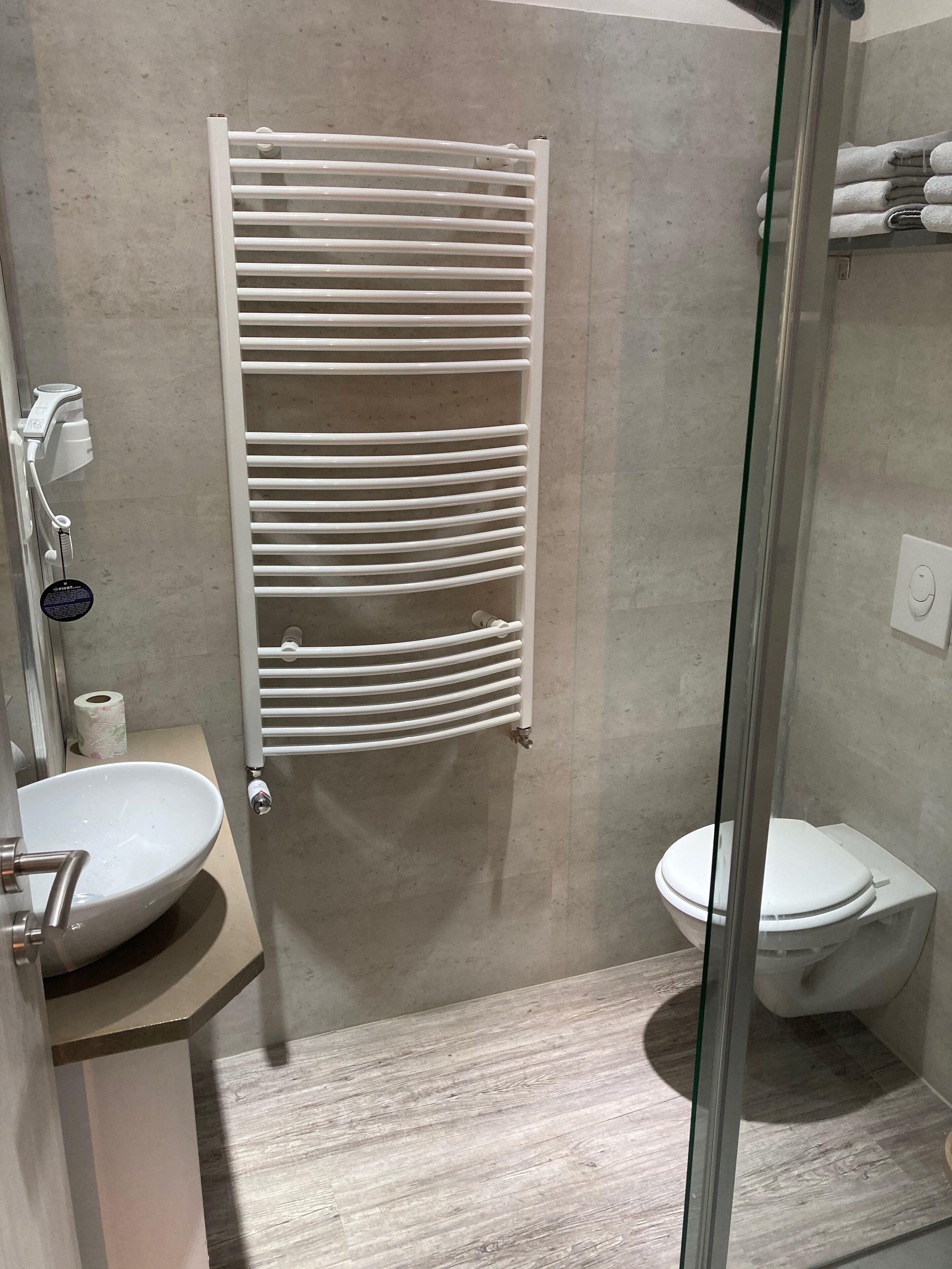 A modern bathroom with a glass shower enclosure, a white toilet, a sink with a mirror, and a towel rack.
