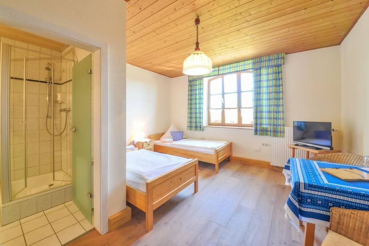Twin Room | Desk, free WiFi