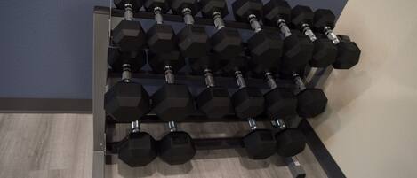 A rack of black dumbbells against a blue wall.