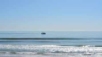 On the beach, sun loungers