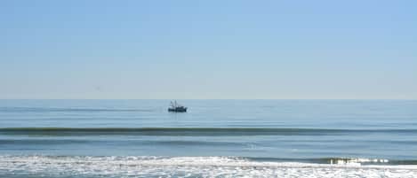 Plage, chaises longues