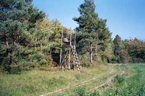 Kinderbereich