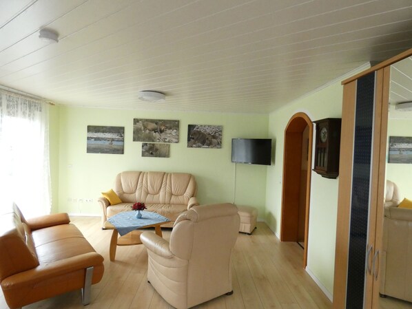 Smart TV, video games, DVD player, books