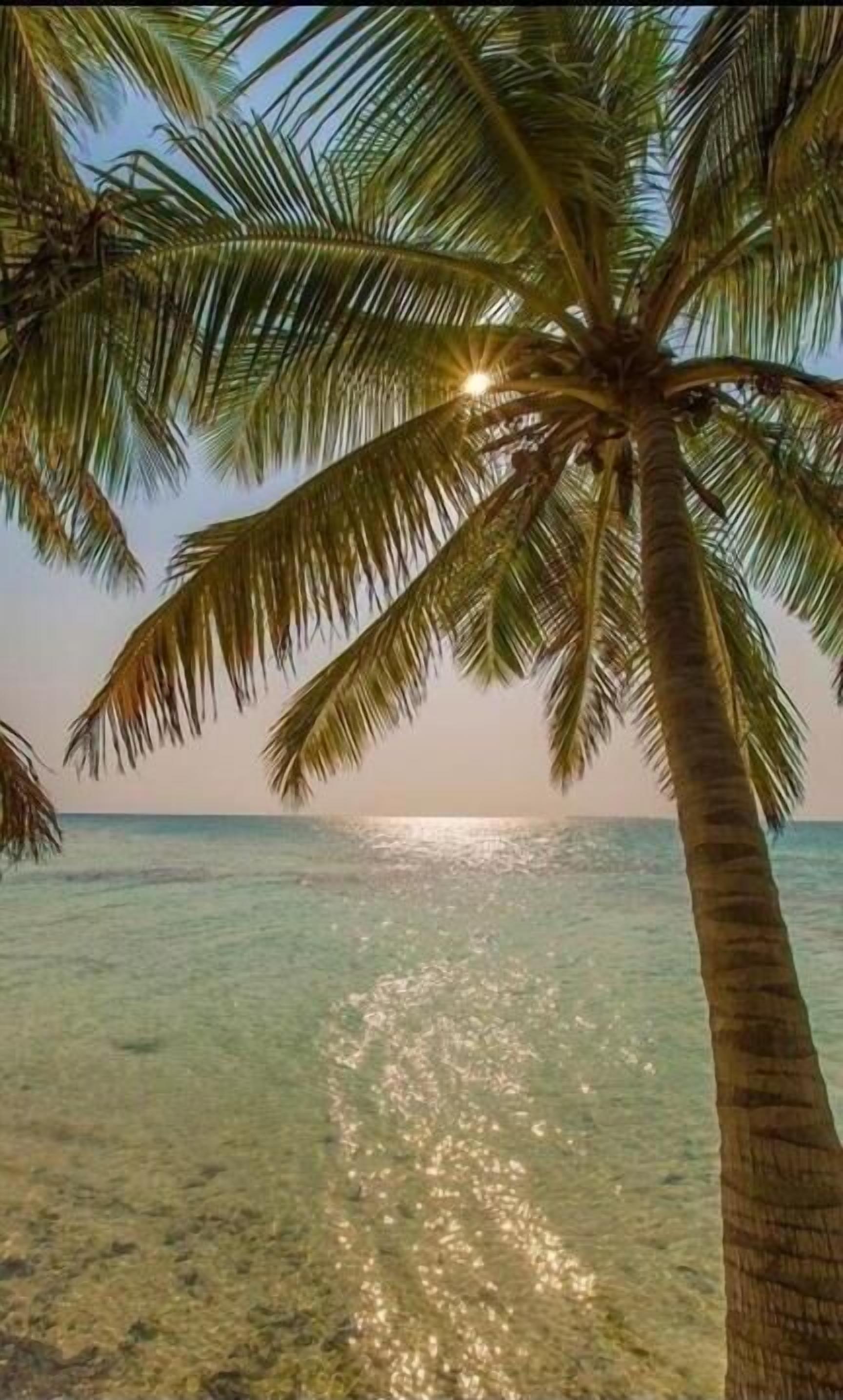 Beach nearby, white sand