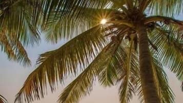 Beach nearby, white sand