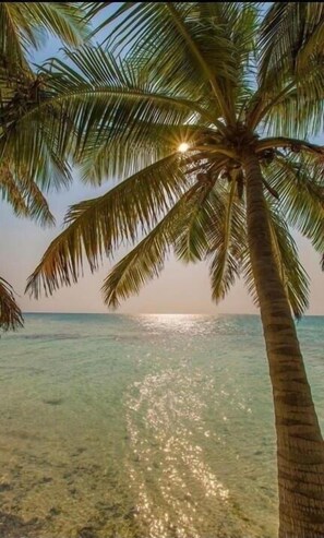Beach nearby, white sand - Zuri Pousada Maragogi (Maragogi)
