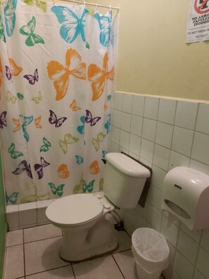 Ducha, toallas, jabón, papel higiénico