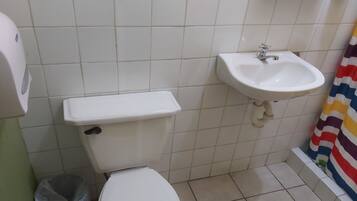 Double Room | Bathroom | Shower, towels, soap, toilet paper