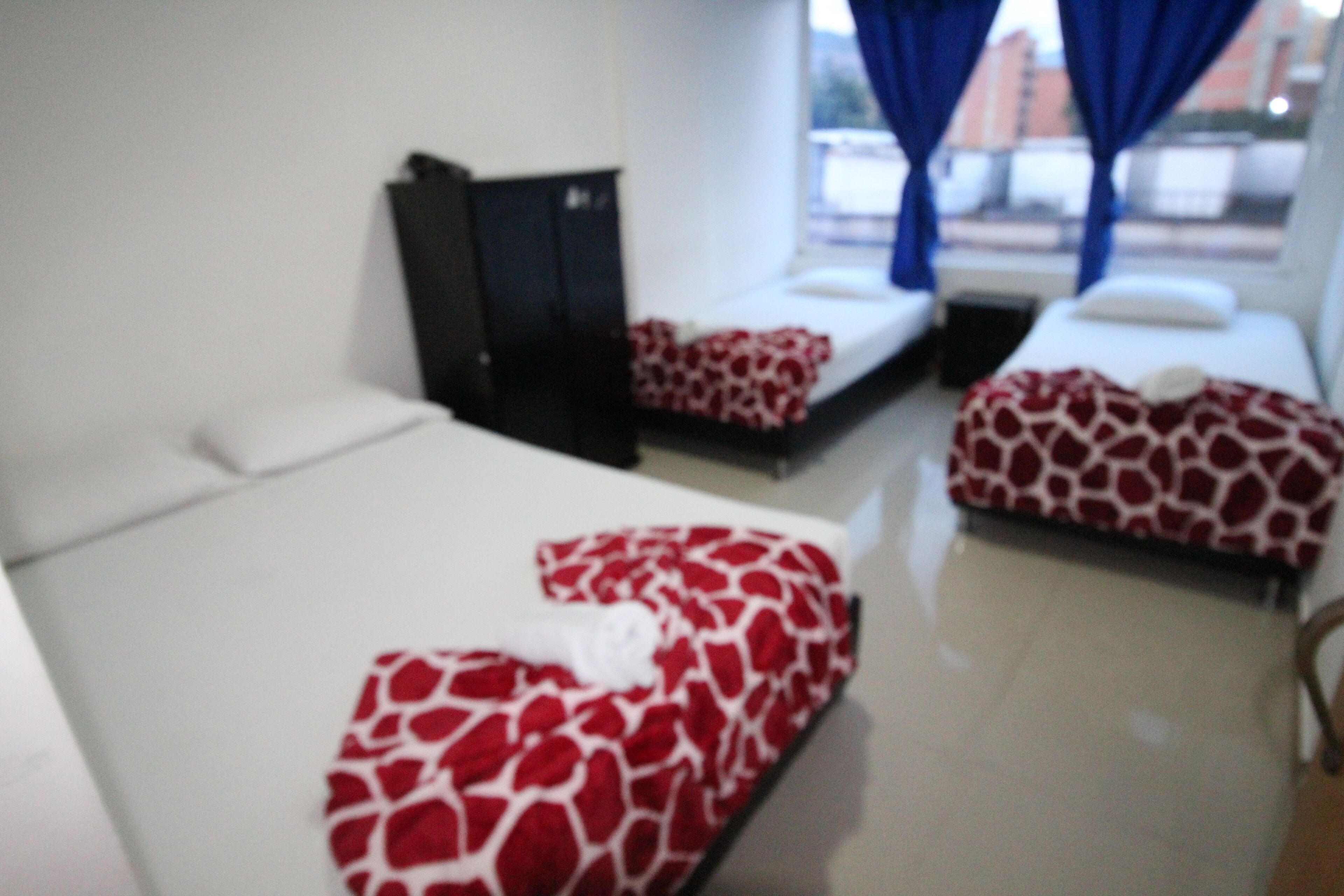 Photo - Hotel Manager Obelisk